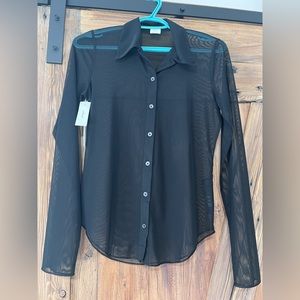 Wilfred (Aritzia) sheer blouse